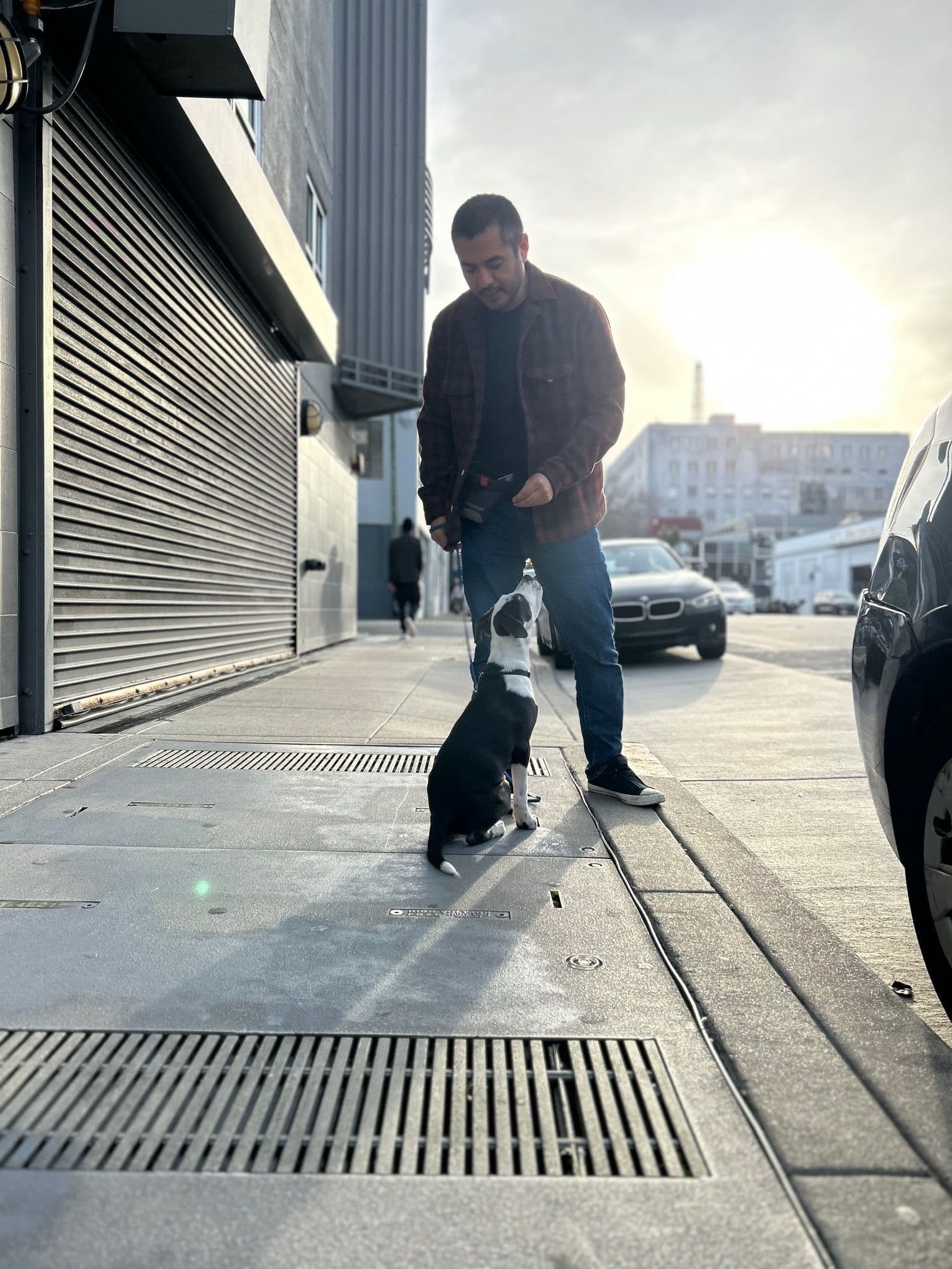 Follow Goose As He Finds His Calm