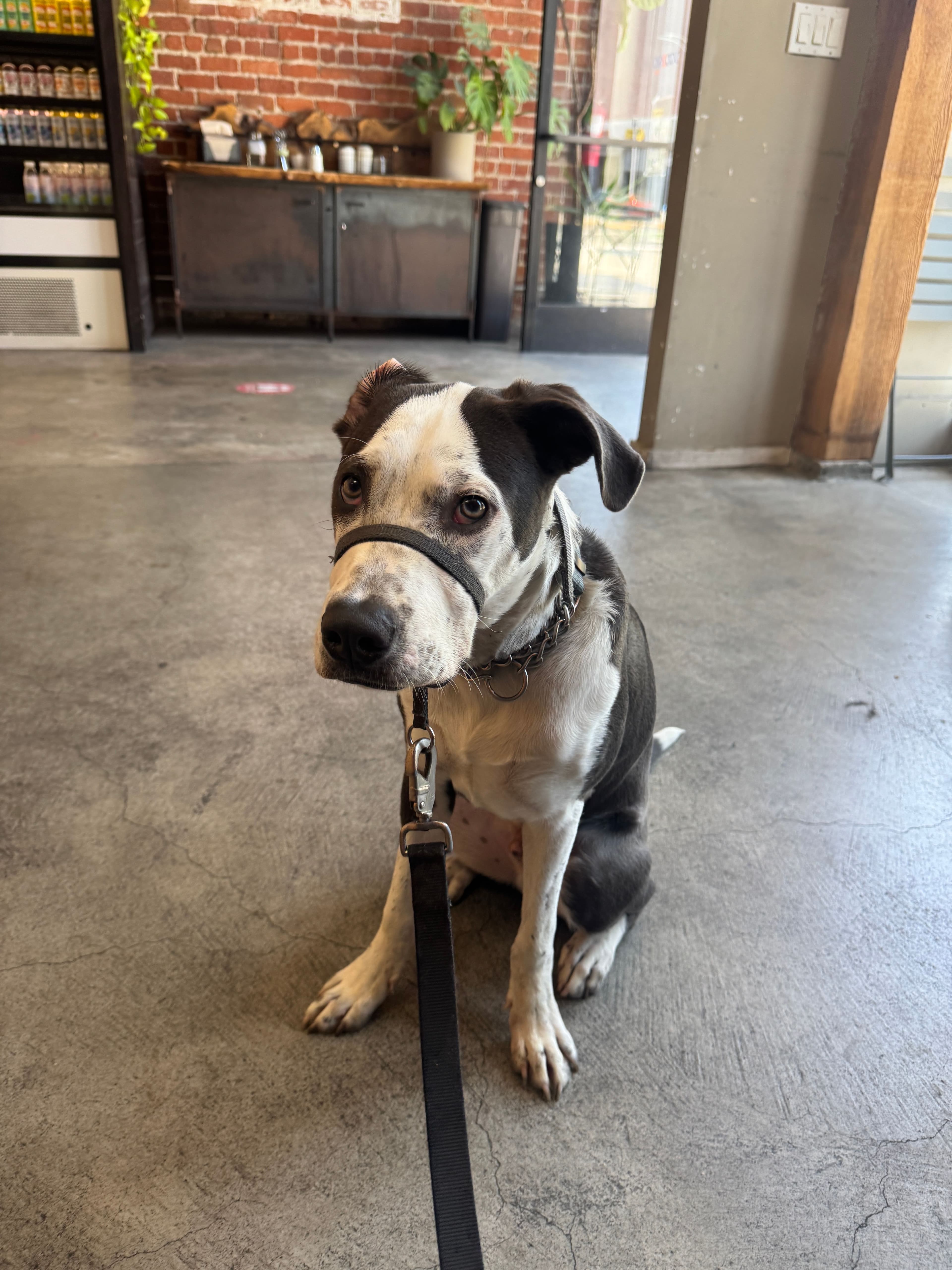 Social training at sextant cafe